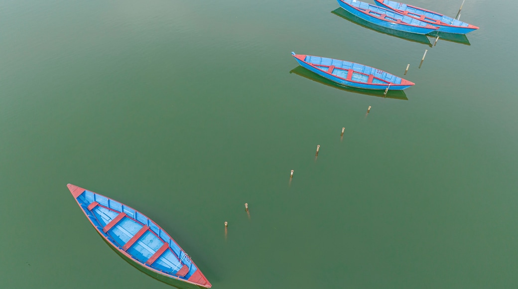 A row of blue and red boats anchored in calm water.