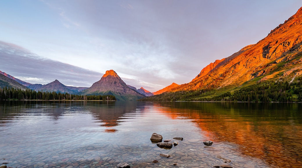 Two Medicine Lake at Dawn