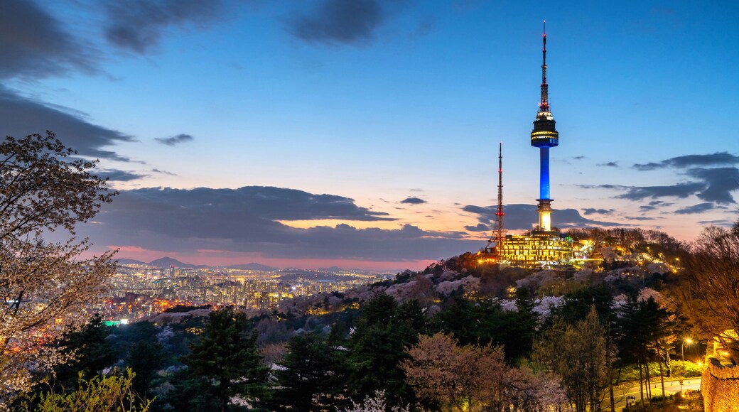 A cityscape with a prominent tower, cherry blossoms, and a clear sky.