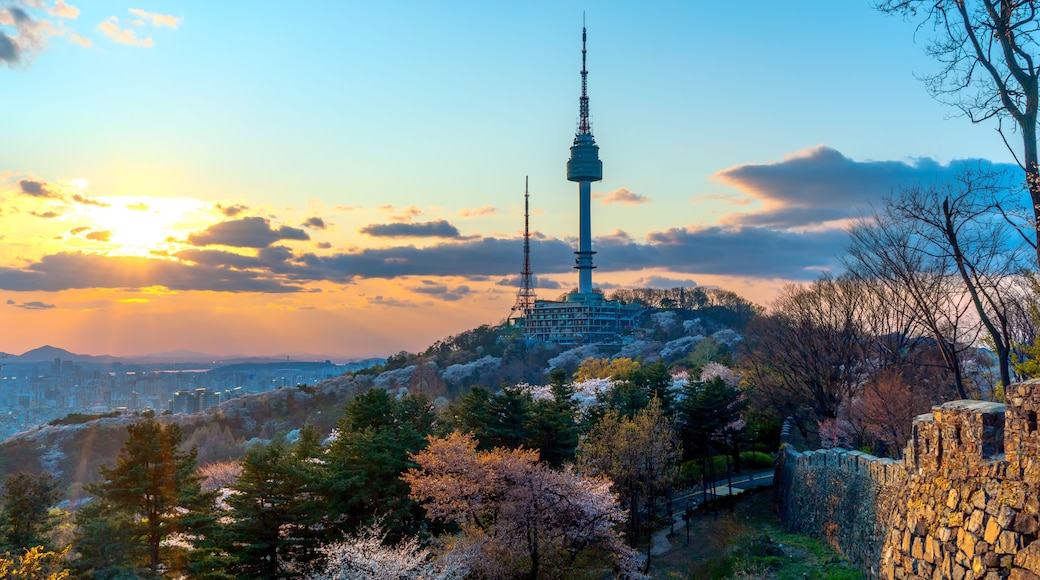 View of sunset in seoul city with seoul tower at namsan public park