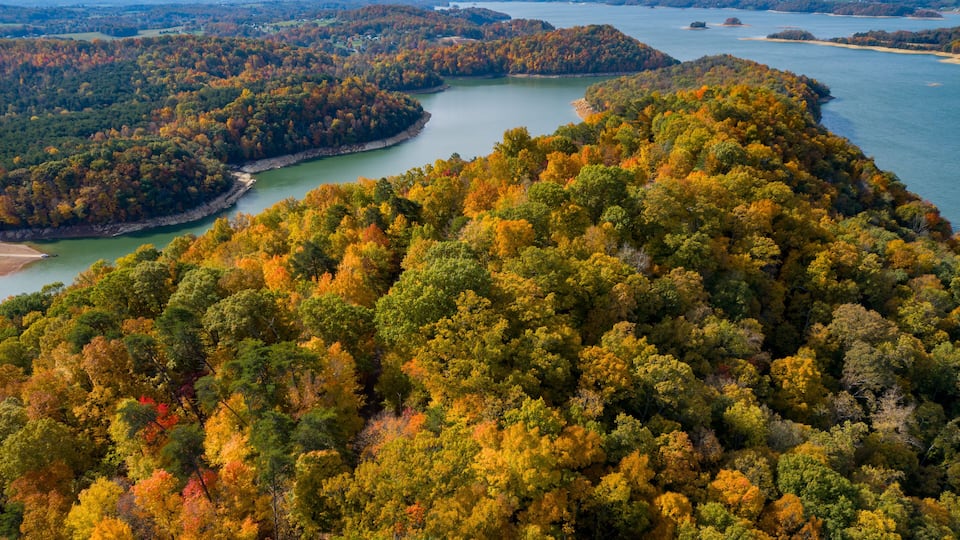 A river winding through a forested area with autumn foliage.