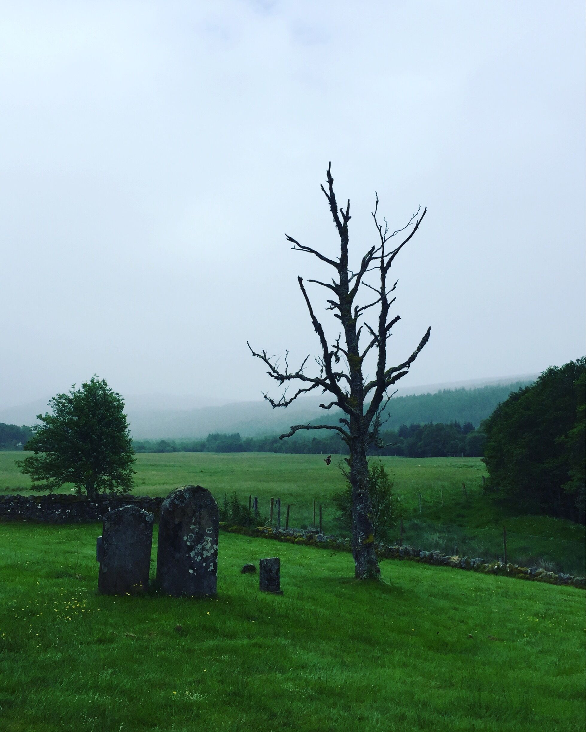 A rural landscape with a leafless tree, stone headstones, and a stone wall.