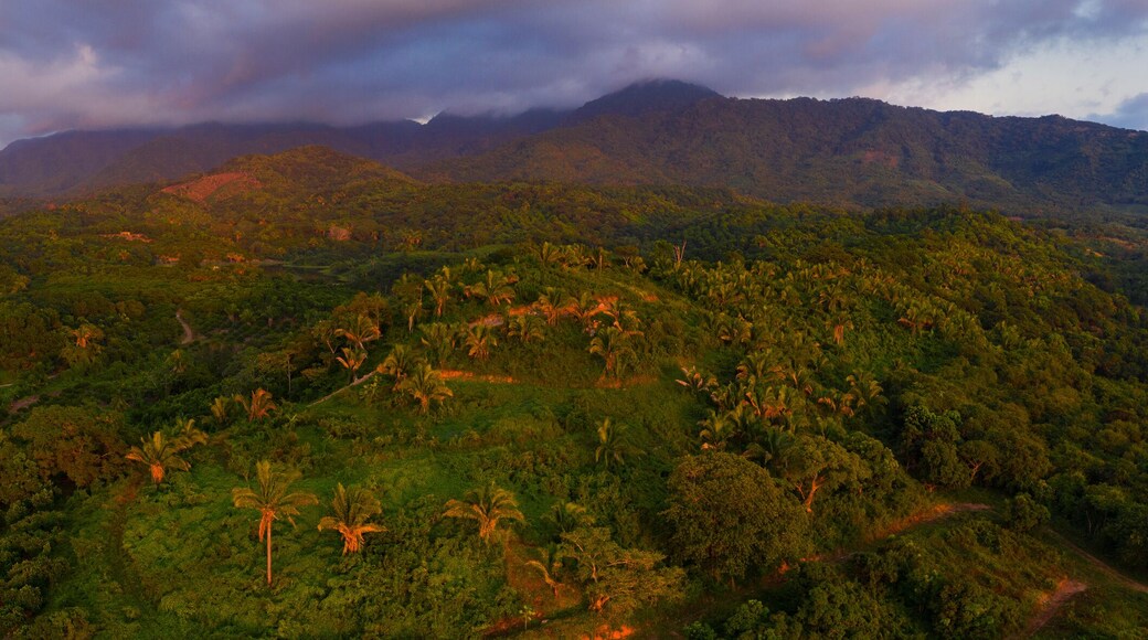 Fruits plantations and tropical forest, Aticama, San Juan Mountain Range, San Blas municipality, Matanchen Bay, Pacific Ocean, Riviera Nayarit, Nayarit State, Mexico, Central America, America