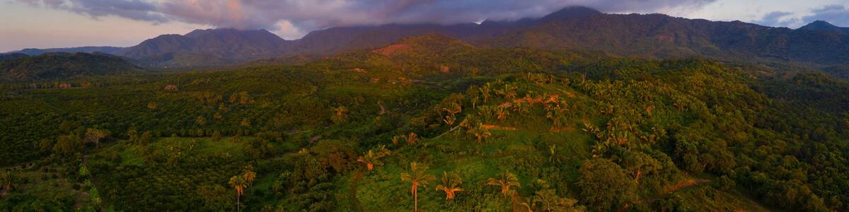Fruits plantations and tropical forest, Aticama, San Juan Mountain Range, San Blas municipality, Matanchen Bay, Pacific Ocean, Riviera Nayarit, Nayarit State, Mexico, Central America, America