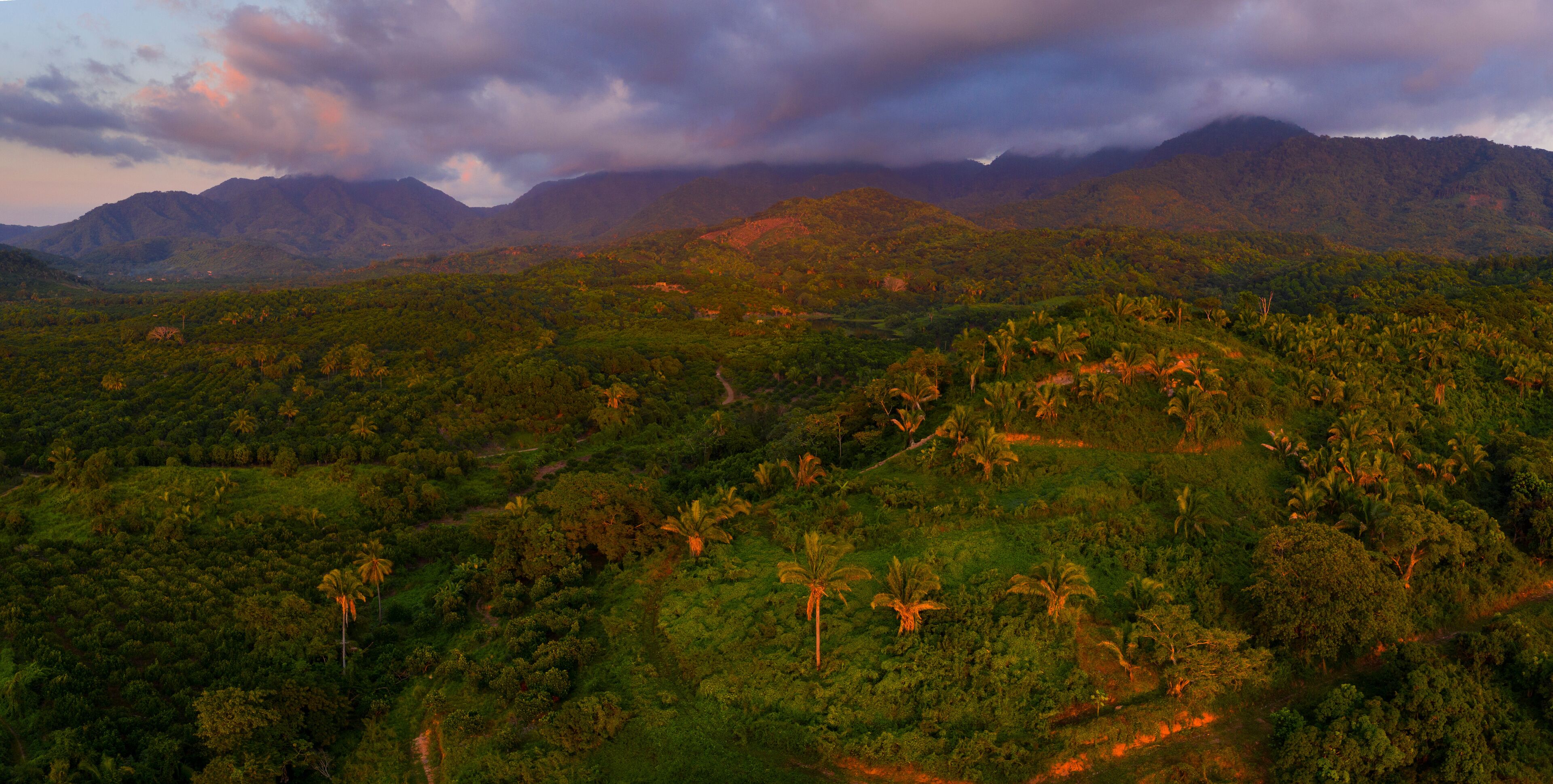 Fruits plantations and tropical forest, Aticama, San Juan Mountain Range, San Blas municipality, Matanchen Bay, Pacific Ocean, Riviera Nayarit, Nayarit State, Mexico, Central America, America