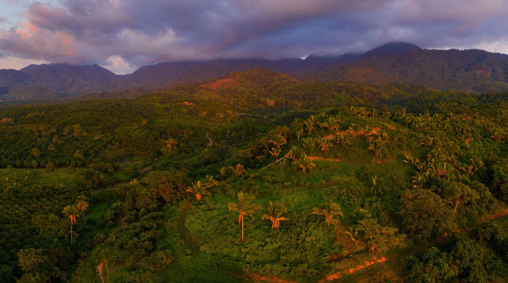 Fruits plantations and tropical forest, Aticama, San Juan Mountain Range, San Blas municipality, Matanchen Bay, Pacific Ocean, Riviera Nayarit, Nayarit State, Mexico, Central America, America