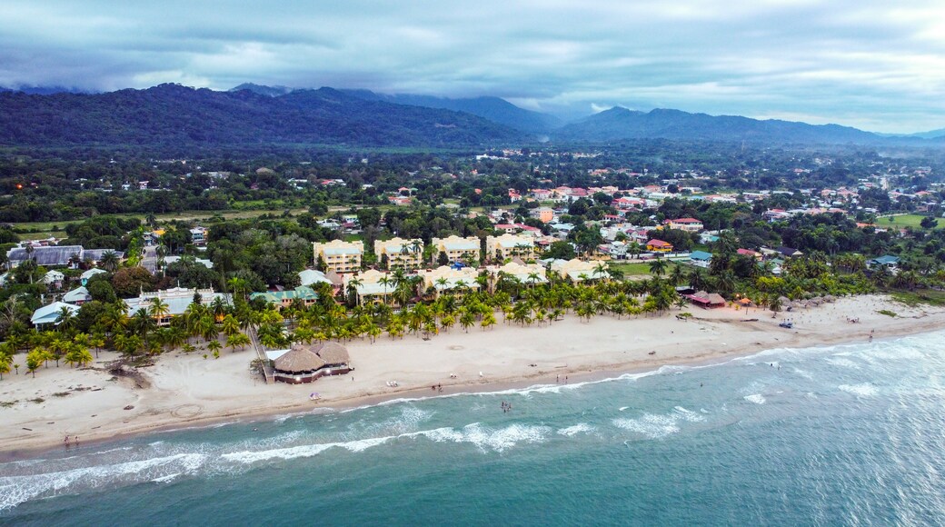 A coastal view of the town and the Caribbean Sea in Tela, Honduras