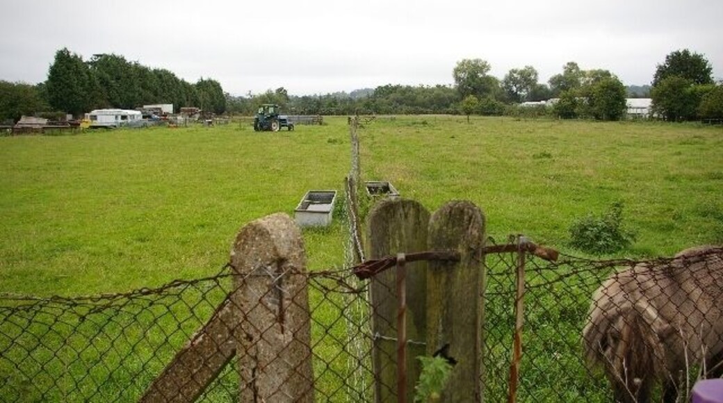 Farmland in Elmbridge district. South of Hersham Village, near the River Ember