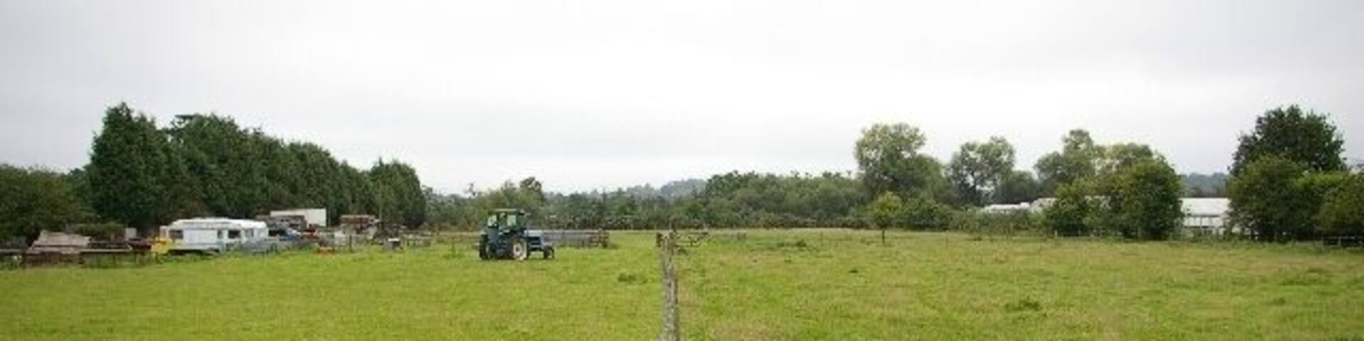 Farmland in Elmbridge district. South of Hersham Village, near the River Ember