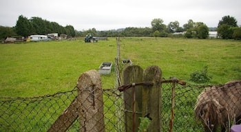 Farmland in Elmbridge district. South of Hersham Village, near the River Ember