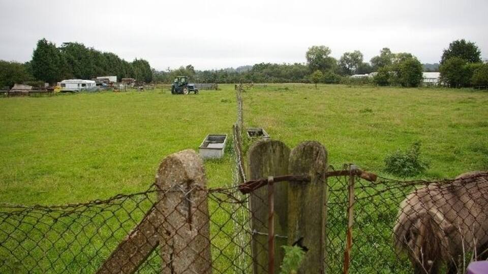 Farmland in Elmbridge district. South of Hersham Village, near the River Ember