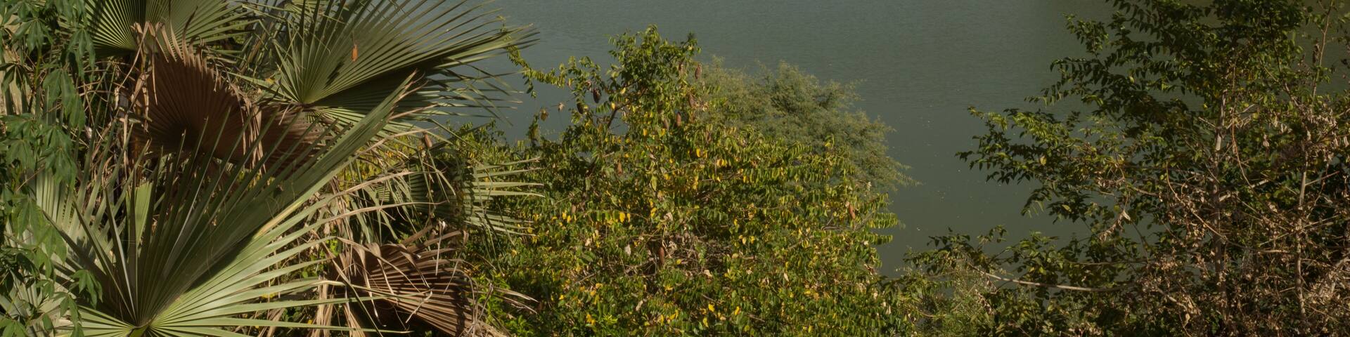 Gambia River in Niokolo Koba National Park. Tambacounda. Senegal.