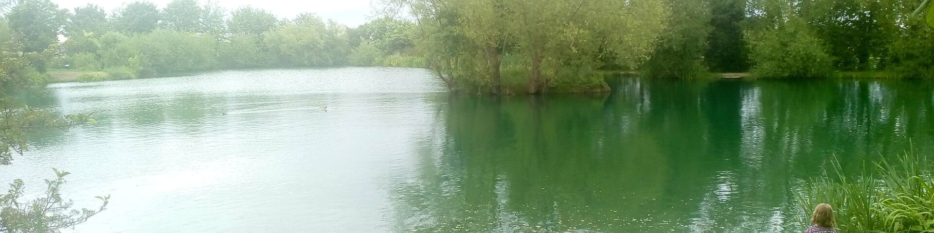 Un lago tranquilo rodeado de exuberante vegetación y árboles.