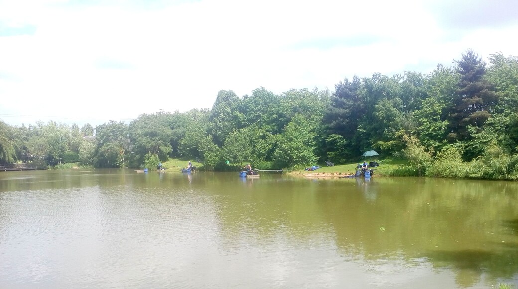 Coopers Lake in Weston on Trent Derbyshire in 2017