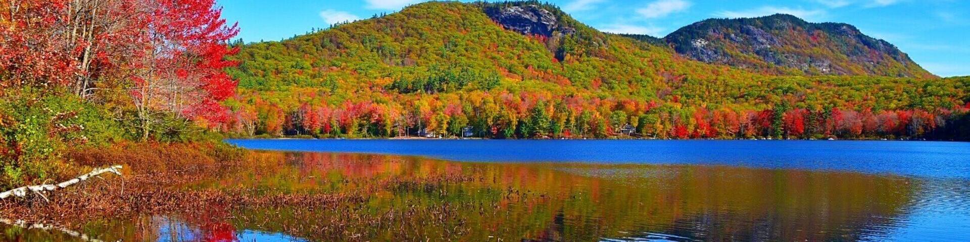 Autumn foliage on Speckled Mountain in Western Maine