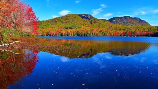Autumn foliage on Speckled Mountain in Western Maine