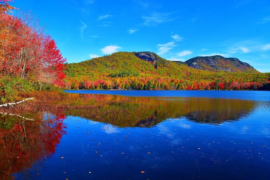 Autumn foliage on Speckled Mountain in Western Maine