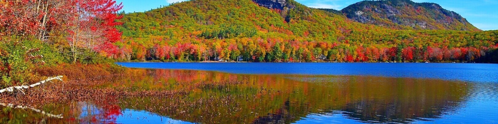 Autumn foliage on Speckled Mountain in Western Maine