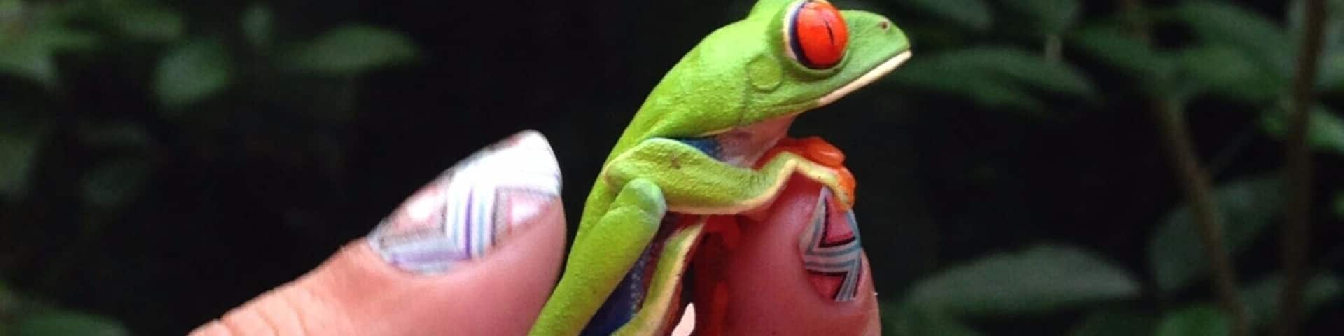 Hotel includes an ant farm and and butterfly section where we found this creature.