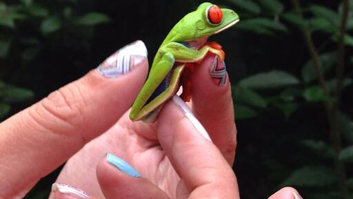 Hotel includes an ant farm and and butterfly section where we found this creature.