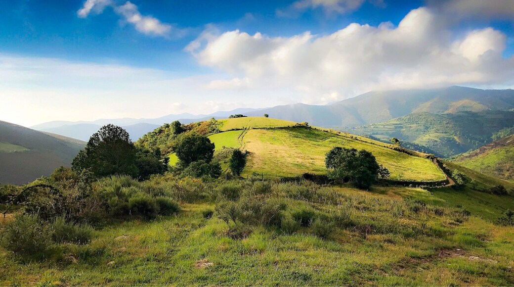La Faba on the Camino
@iphoneablefoto
#Mountains