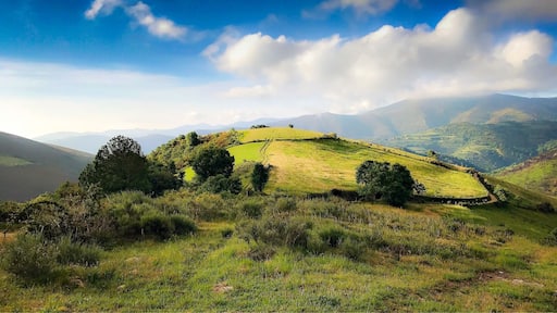 La Faba on the Camino
@iphoneablefoto
#Mountains