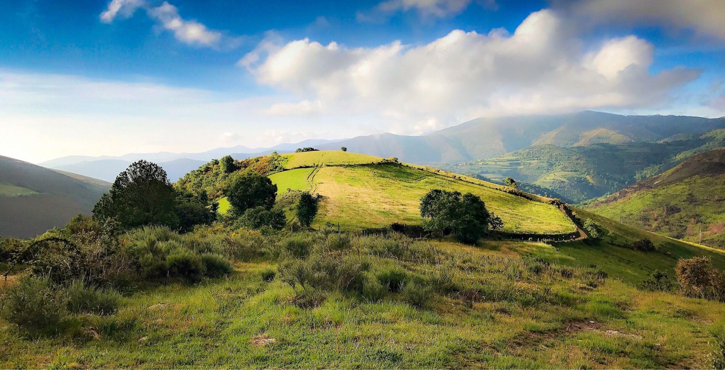 A grassy hillside with a fence, trees, and distant mountains under a partly cloudy sky.