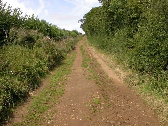 Farm Track. The treads of tractor wheels can be seen in the damp earth. This seems to be a popular spot for the village children to ride their push-bikes.