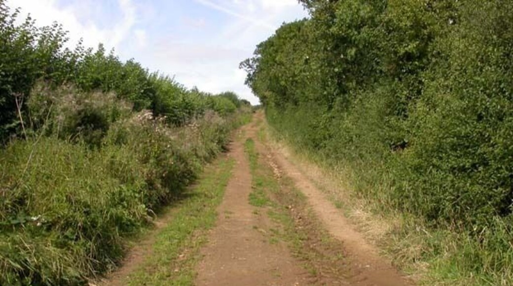 Farm Track. The treads of tractor wheels can be seen in the damp earth. This seems to be a popular spot for the village children to ride their push-bikes.