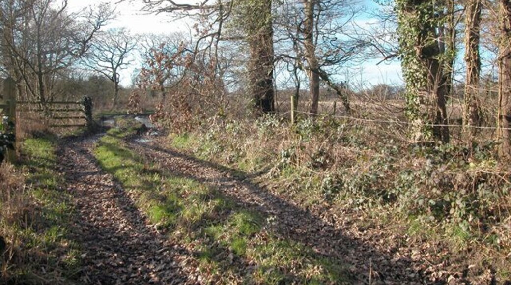 Near Craxton Wood Hotel