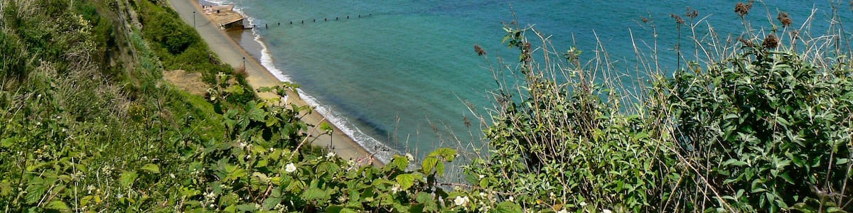 Looking towards Sandown in the distance. Right below is Lake.
