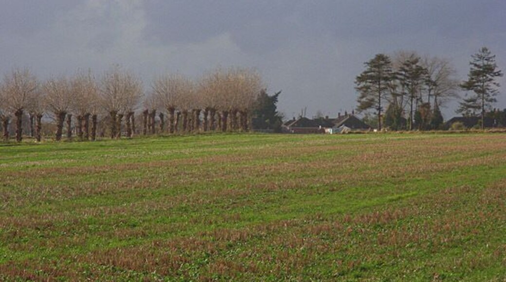 Farmland, Ruscombe A view across arable fields to houses on the edge of Twyford.