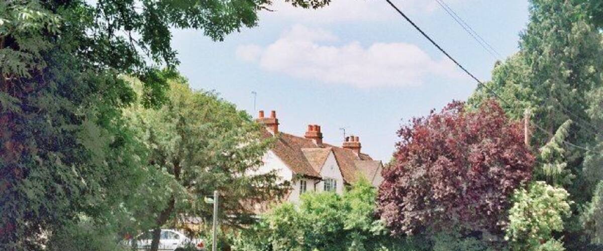 A quiet residential street with houses, trees, and a clear sky.