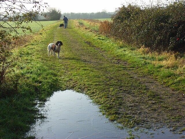 Bridleway, Ruscombe Just south of Castle End Farm as it heads across flat arable fields to reach the B3024 and the railway. A thin film of ice can be seen on the puddle following a slight overnight frost.