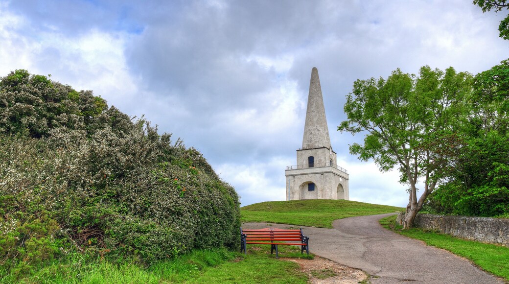 The view of the Killiney Hill Obelisk in Dublin, Ireland.