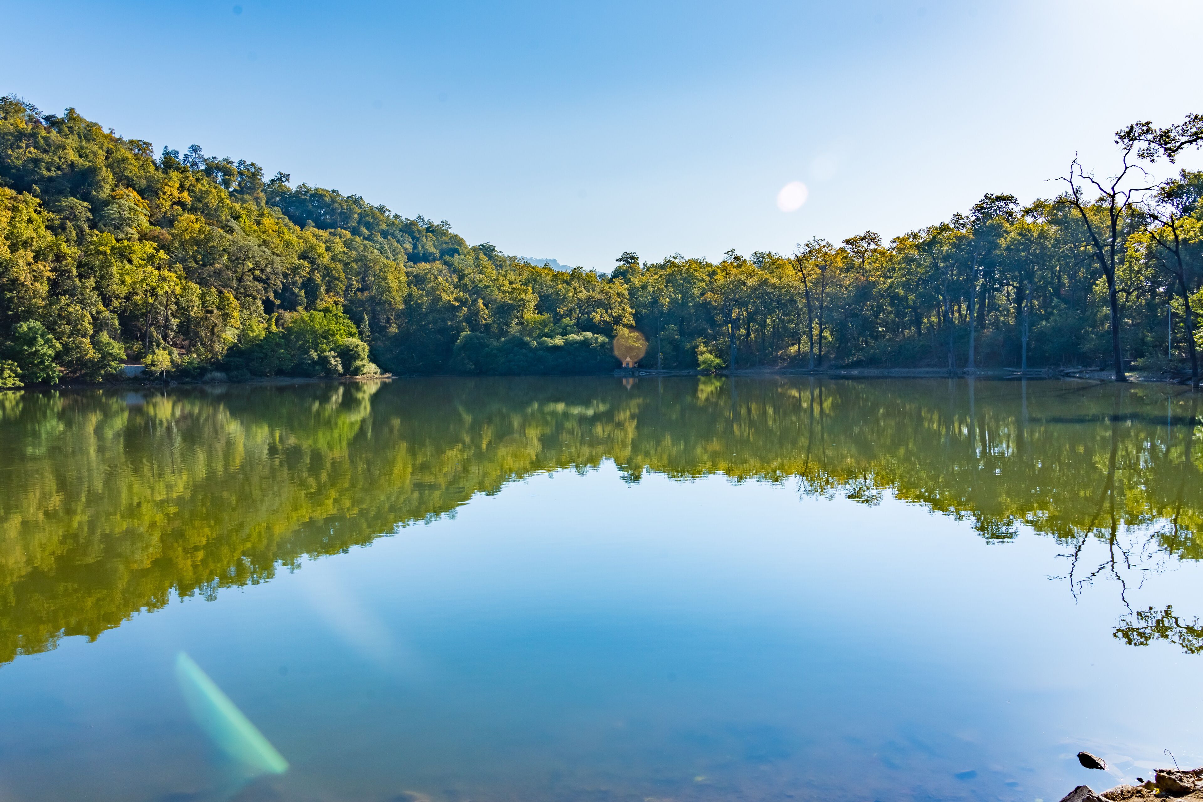 A calm lake reflecting trees and a clear sky.