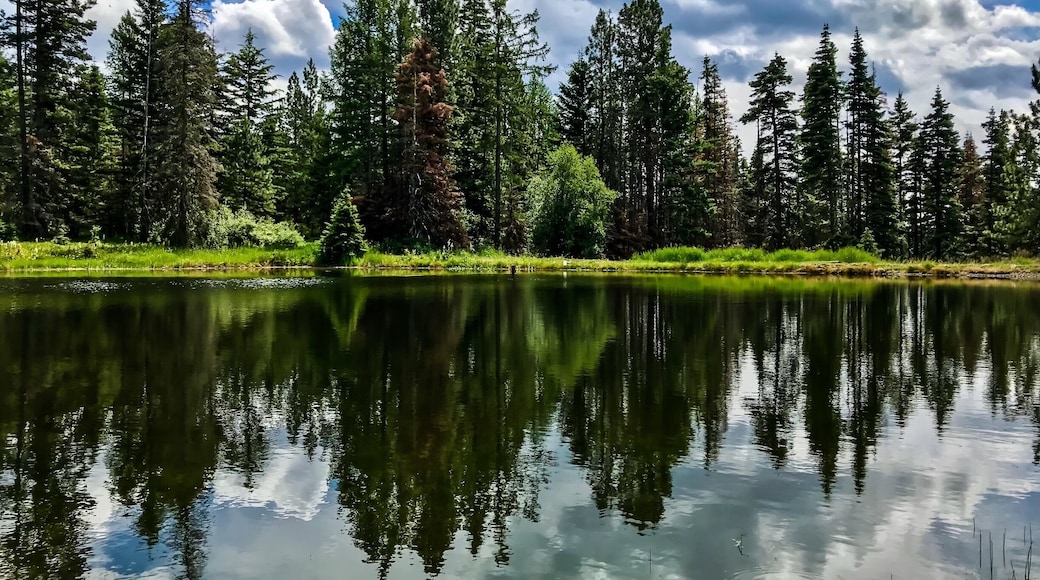 7/6/18 This is the upper pond near our cabin in the Wenatchee National Forest. There’s lots of great camping and hiking in the area. Just please, heed the burn ban notices so that we can all enjoy this beautiful place for many years to come. 🌲
#pnw #wenatcheenationalforest
#cabinlife