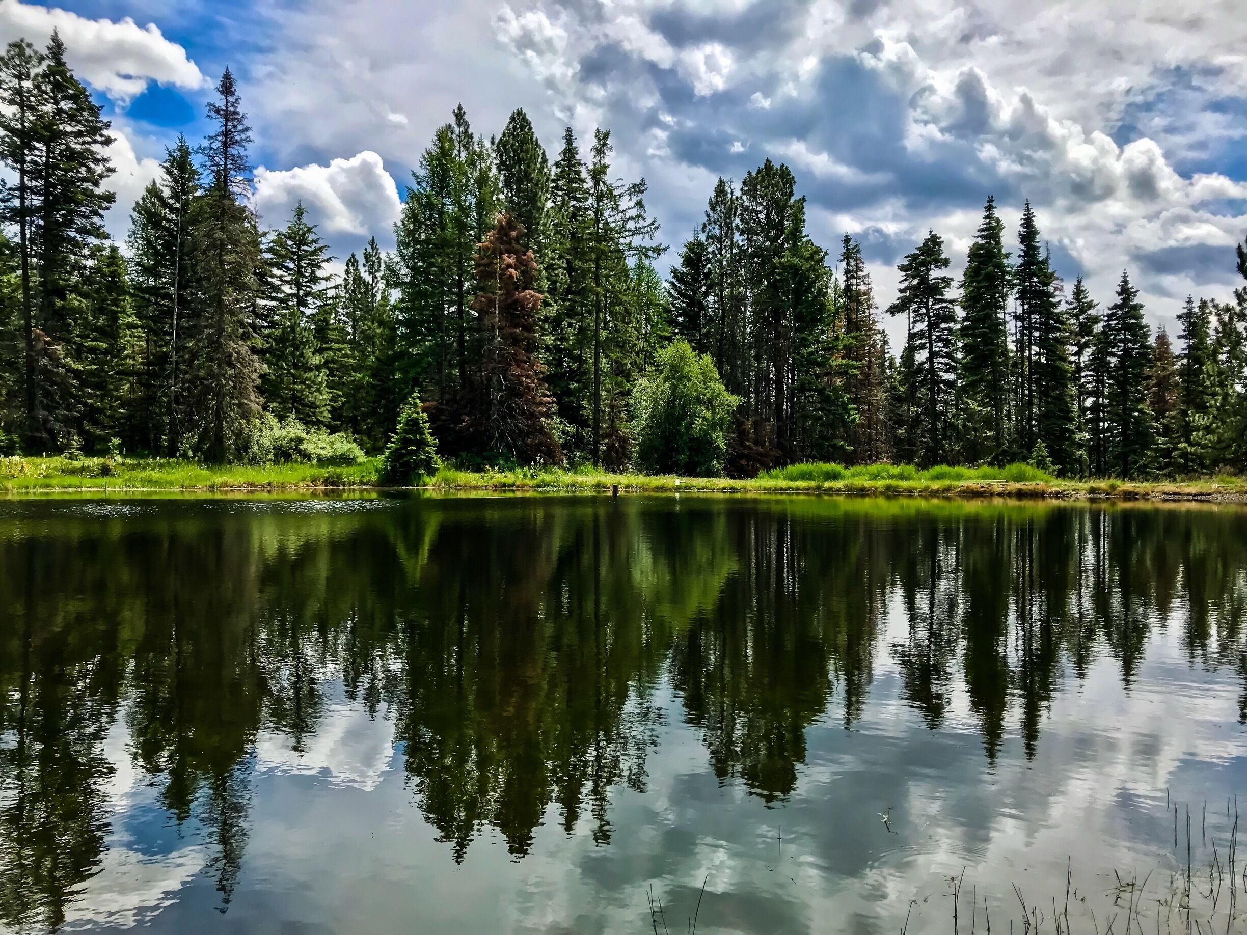 A calm lake surrounded by dense forest and tall trees under a partly cloudy sky.