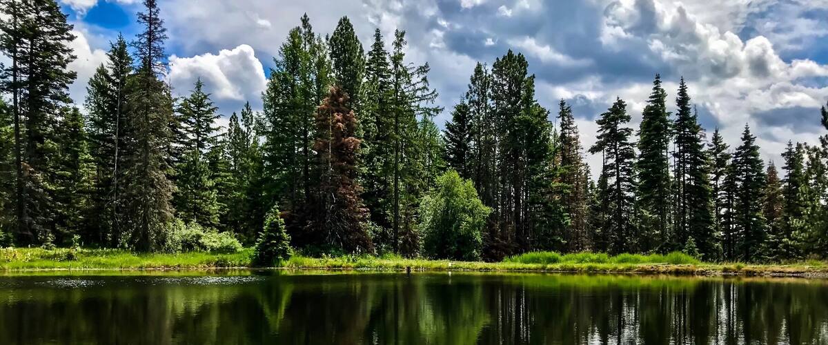 A calm lake surrounded by dense forest and tall trees under a partly cloudy sky.