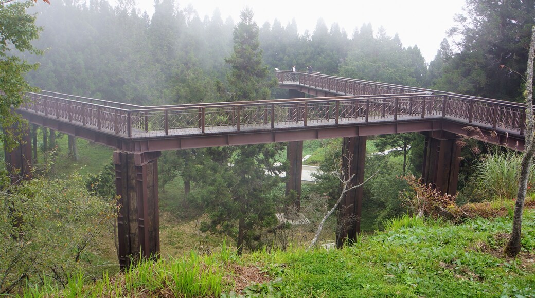 沼平公園天空步道 Skywalk in Zhaoping Park