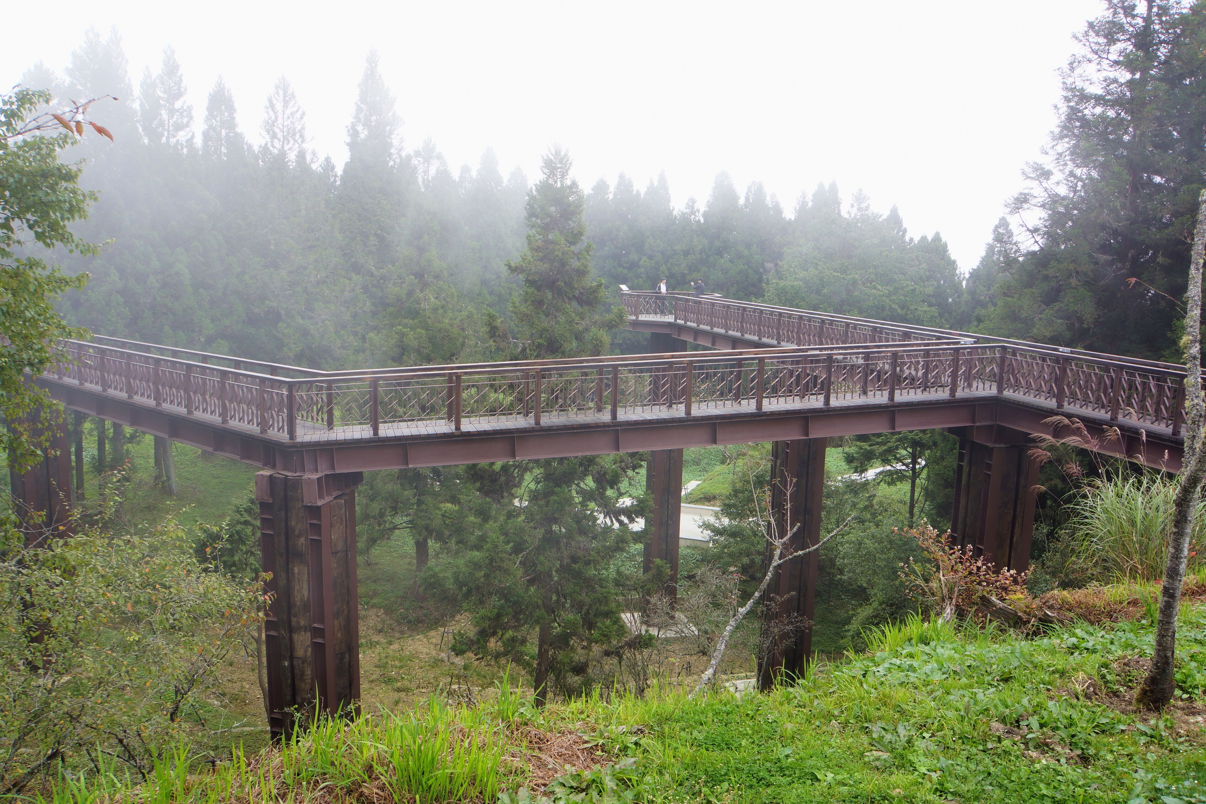 A wooden bridge over a forested area.