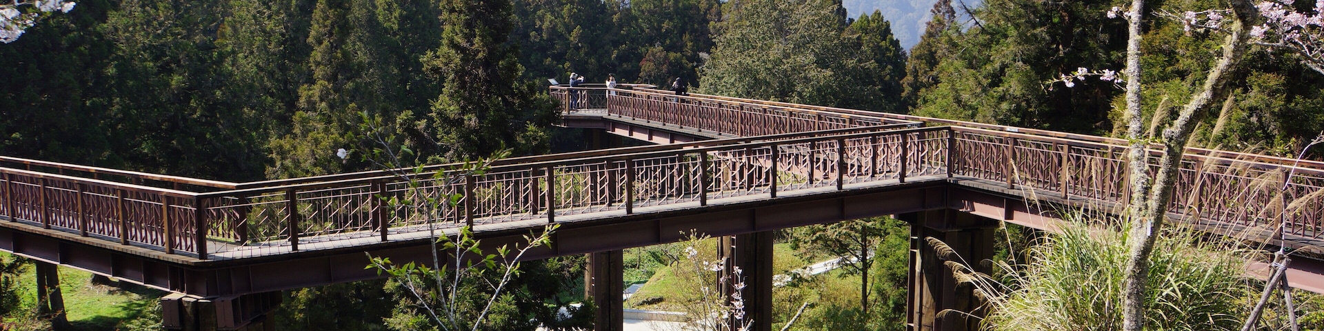 Zhaoping Park 沼平公園