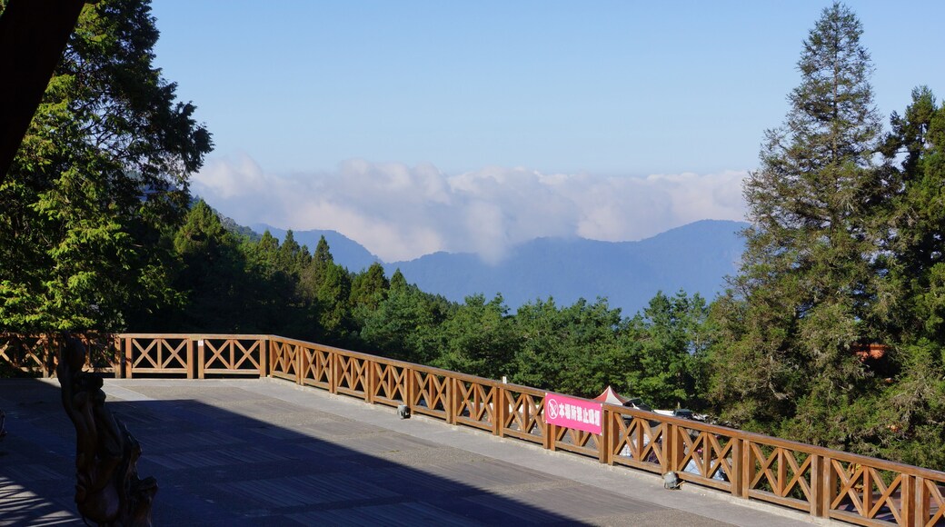 Alisan Station 阿里山火車站