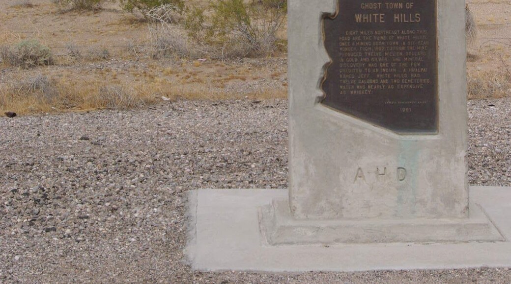 In 1892, Henry Shaffer discovered silver deposits in the area, with the help of local American Indians. The resulting mining efforts led to the creation of the town of White Hills, which reportedly grew to a population of 1,500. The mines consisted of 27 miles (43 km) of tunnels, and a full fifteen mines were being worked within one mile (1.6 km) of the town. In 1894, the White Hills Mining Company was formed to run the operations, but they sold out in 1895 for a price of $1,500,000. The new owners, part of an English company, constructed a 40-stamp mill in the town. However, water had to be piped in from 7 miles (11 km) away, and the supply was never able to meet the mine and mill's demands. Production peaked in 1898, and soon after the mill began operating only half of the time. The town went into decline, and eventually became a ghost tow