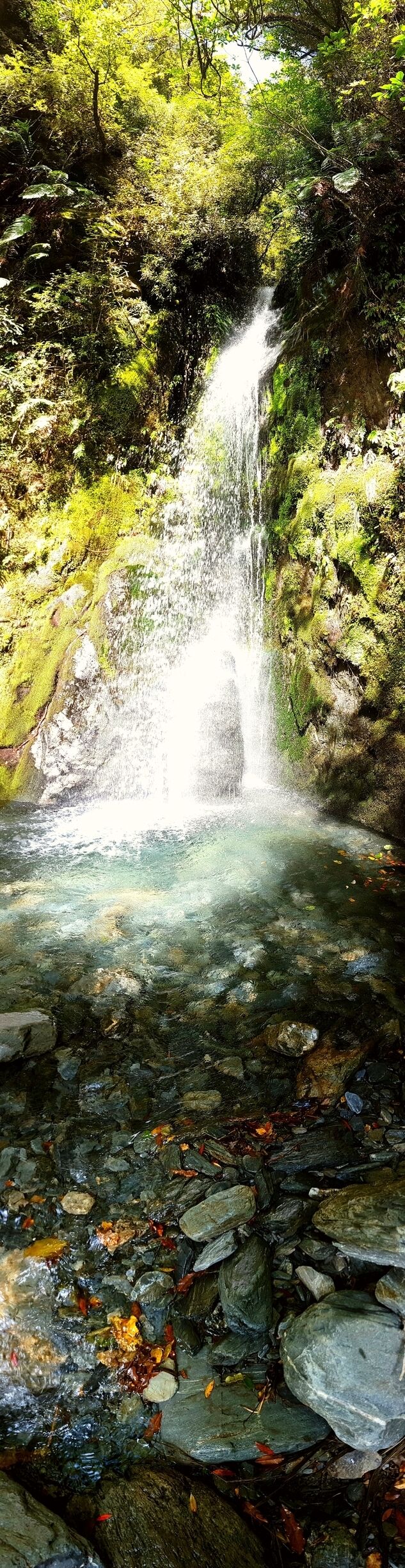 A waterfall in a forested area with clear water and surrounding greenery.
