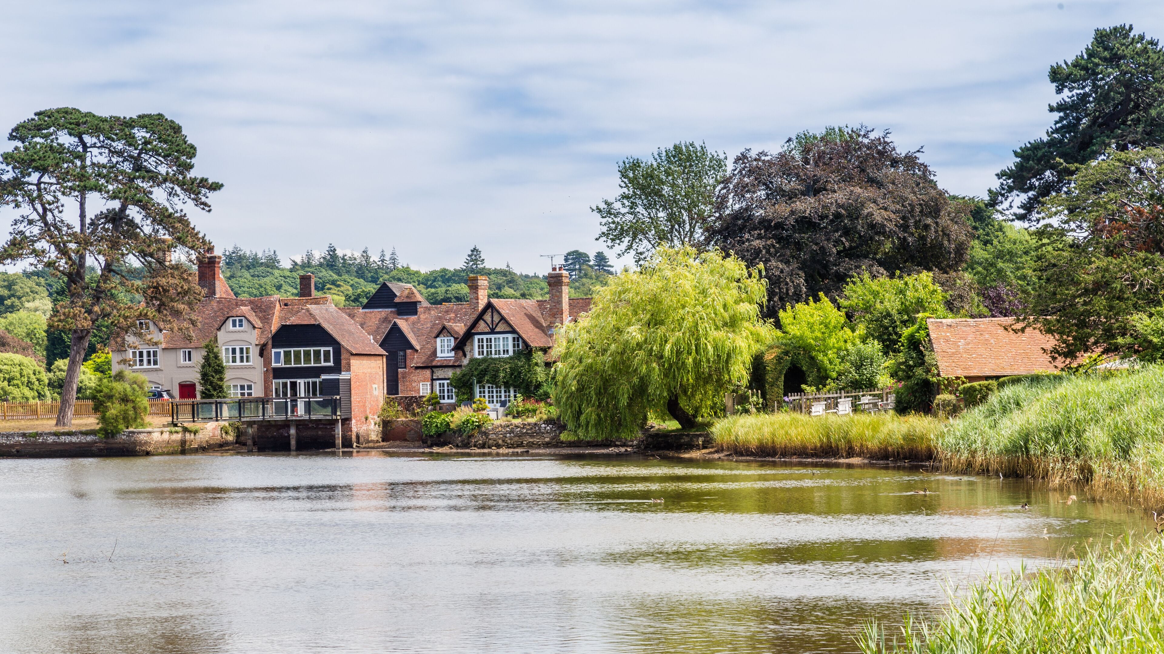 A riverside village with traditional houses, a weeping willow tree, and a bridge.