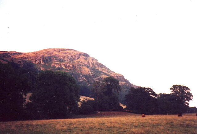 A mountain with a grassy field in the foreground and trees scattered around.