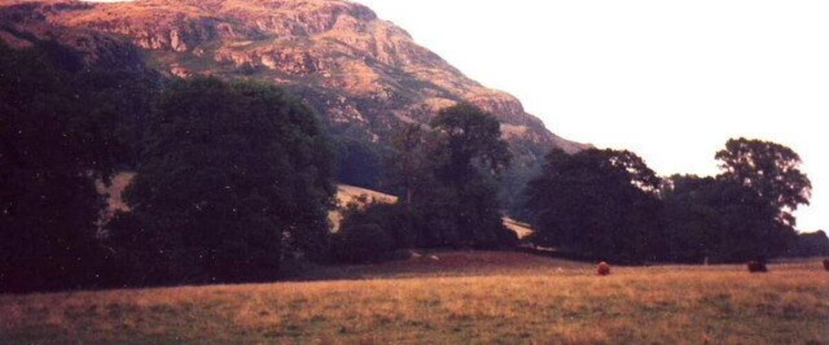 A mountain with a grassy field in the foreground and trees scattered around.