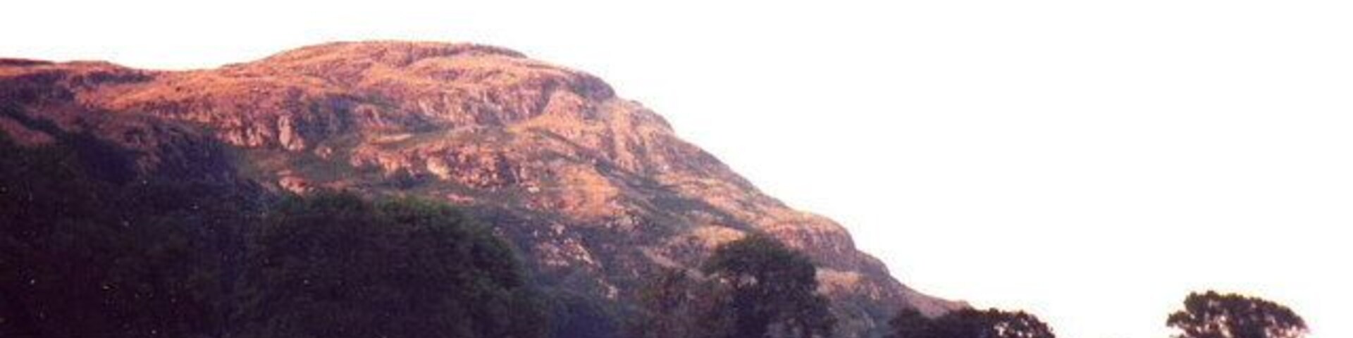 A mountain with a grassy field in the foreground and trees scattered around.