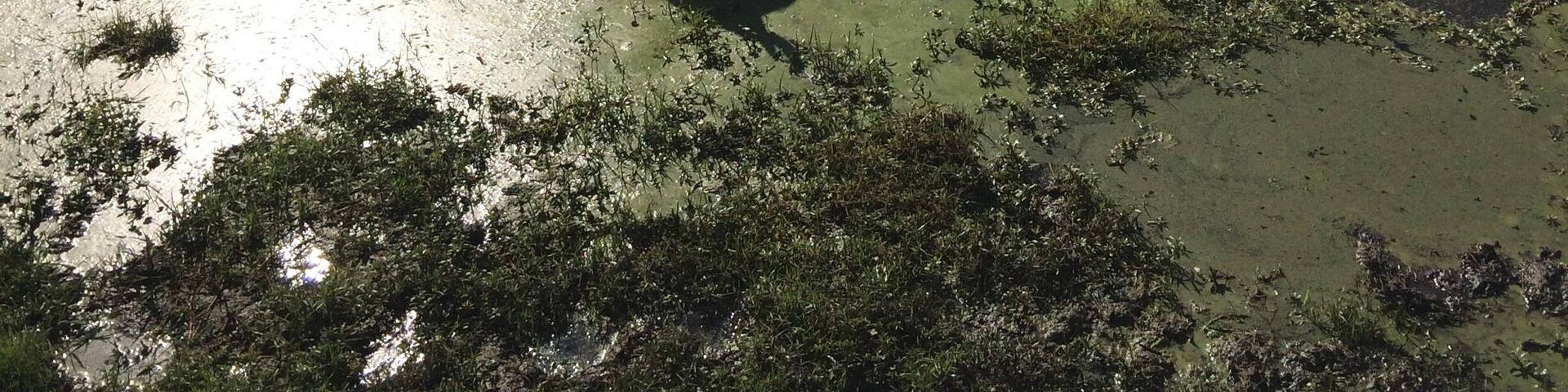 Amazing safari at Amboseli National Park